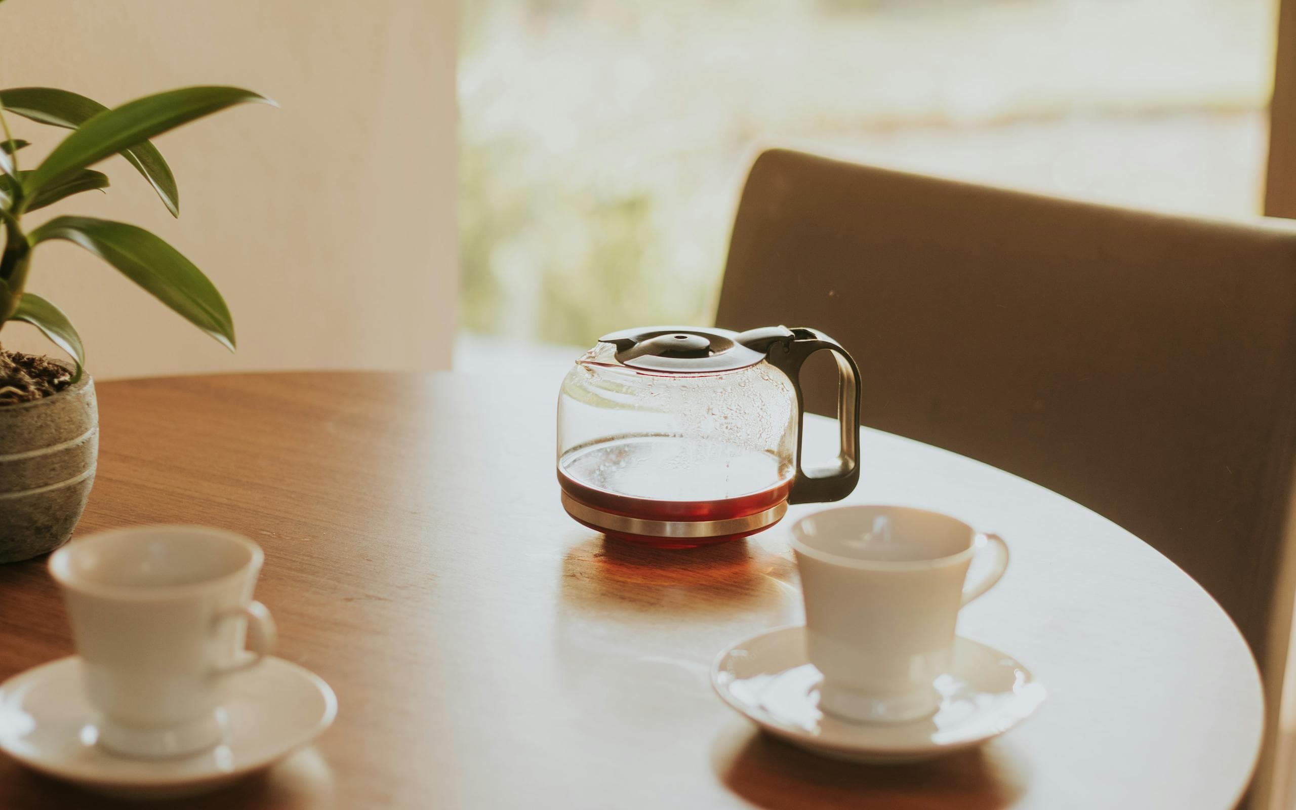 Tasses de café et plante sur une table en bois, dans une lumière douce du matin.